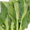 32. jiè lán Chinese Broccoli