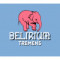 19. Delirium Tremens