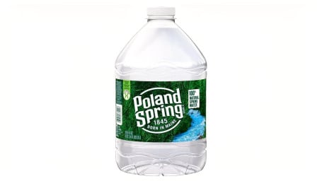 Poland Spring Spring Water
