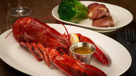 Steamed Gulf Of Maine Lobster
