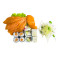 Lachs Sashimi Und Sushi Box Stück)