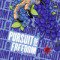 Pursuit Of Freedom: Concord Grape Blueberry