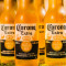 Balde De Corona (5 Cervezas)