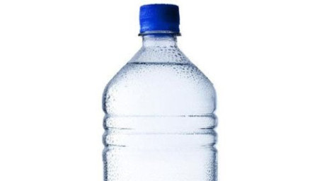 Water Bottle (16. 9Oz)