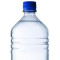 Water Bottle (16. 9Oz)