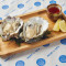 Dutch Medium Size Oyster