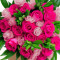 Bloom Haus 30 Plus Rose Bouquet Bi Color