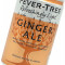 Fever Tree Light Ginger Ale (8 latas de 150ml)