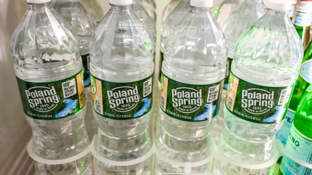 Poland Spring Water 16.9Fl Oz