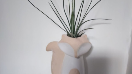 Fox Airplant Planter A