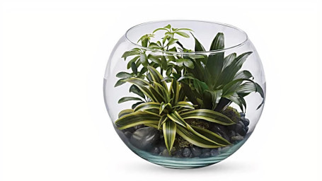 Sphere Of Tranquility Terrarium