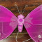 Hot Pink Butterfly