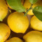 Marshfield 125Ml Lemon Sorbet