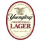 8. Traditional Lager