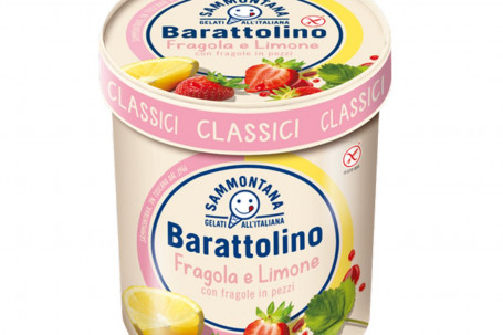 Barattolino Strawberry Lemon 500G