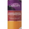 Canopy Apricot Blackcurrant Gose 440Ml