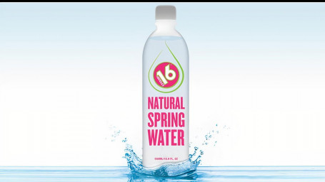 16 Handles Water (16.9Oz)