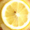 Lemon Curd Tart (Veg)