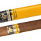 Cohiba Robustos Tube