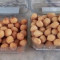 50 coxinhas de frango 50 bolinho de camarão