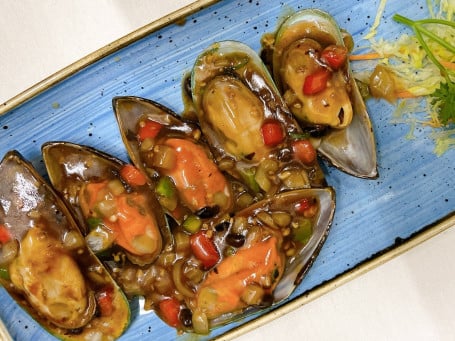 Black Bean Green Lip Mussels (6) Hēi Dòu Lǜ Chún Yí Bèi