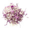 Red White Cabbage Juǎn Xīn Cài