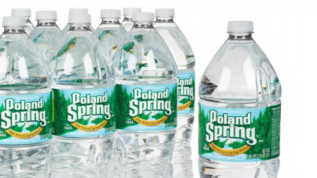 Poland Spring Bottle Water (16Oz)