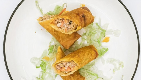 Veggies Spring Rolls (2)