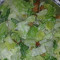 61. Caesar Salad