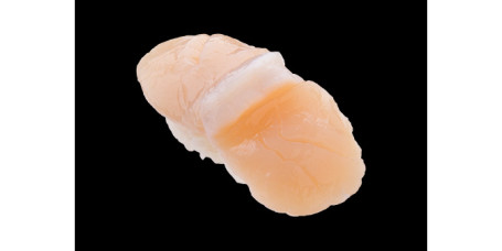 Dài Zi (1Jiàn Scallop