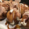 Ap 18. Takoyaki (6 Pcs