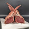 Lamb Rack French Trimmed (Weight 550G 600G)