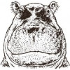 9. Hoppopotamus