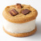 Ice Cream Sandwich Classic with Reese