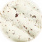 Freckled Mint Chocolate Chip (V)