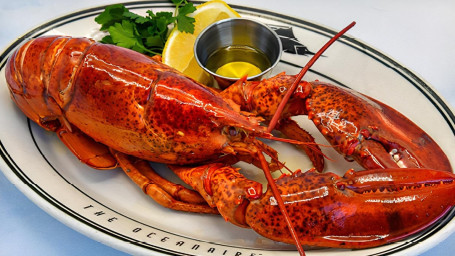 1.5Lb Live Maine Lobster