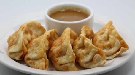 Gyoza Chicken Dumplings 5