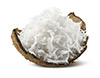 Noces de coco secos sin azúcar