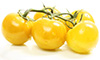 Tomates de cerezo amarillo