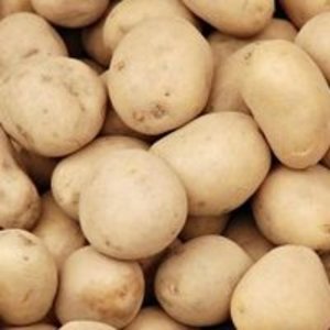 Patatas blancas