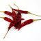 Chiles rojos secos picantes