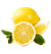 Limones