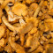 Setas de chanterelle